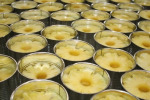 Tranches ananas en conserve