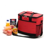 Fashional Insulated Lunch Bags Food for Women Men