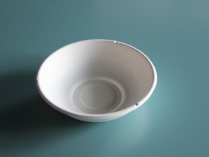 Biodegradable Food Bowl