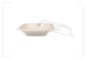 BIODEGRADABLE FOOD BOWL