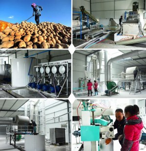 Potato Starch Processing Plant