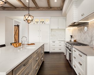 PDB220 1080P FHD 2.4GHz WiFi Pet & Nanny Camera