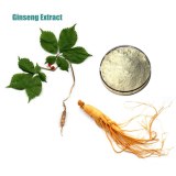 Fast Delivery Panax Ginseng Root Extract CAS 90045-38-8