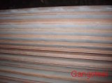 Supply SA387GR22CL2, SA387GR5CL2, SA387GR12CL2 steel plate