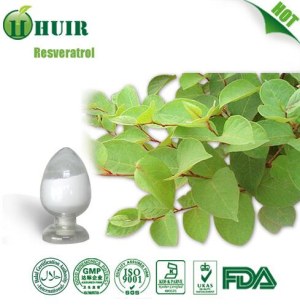 Factory supply high quality resveratrol 50%