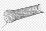 Intestinal Stents