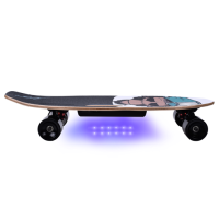 Custom Electric Powered Skateboards Wholesale