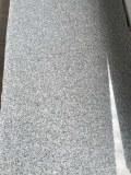 Polished G603 slab-DCSTONE