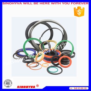 Hydraulic Pump Repair Kit Excavator Oil Seal of HYVA FE 169-5-05780-019A-K1559