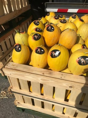 Melon jaune canaris origine Maroc.