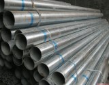 Q235 Hot Dipped Galvanized Steel Pipe