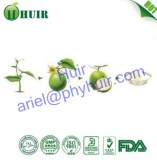 OEM Welcome traditional Chinese herbs extract Natural Sweetener Luo Han Guo Extract
