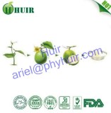 OEM Welcome traditional Chinese herbs extract Natural Sweetener Luo Han Guo Extract