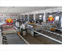 WPC Skinning Board Machine