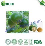 Bulk Wholesale Luo Han Guo Extract / Natural Luohanguo Extract / Monk fruit Extract 20...
