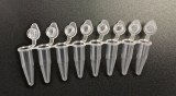12 Strip PCR Tubes With Individual Strip Caps
