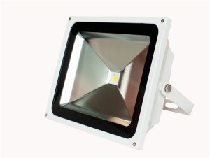 10W COB Floodlight