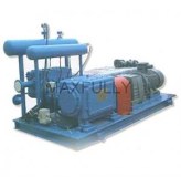 3GP 5GP Steam Pump