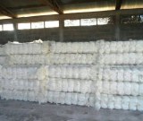 Sisal Fibre à vendre au Kenya