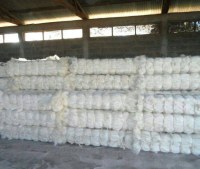 Sisal Fibre à vendre au Kenya