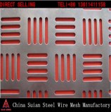Galvanized Punching Hole Mesh in Guangzhou Supplier