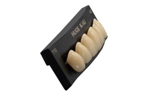 KAILI Synthetic Polymer Teeth