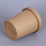 Compostable Bowls With Lids