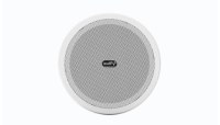 Ceiling Mounted Directional Speaker