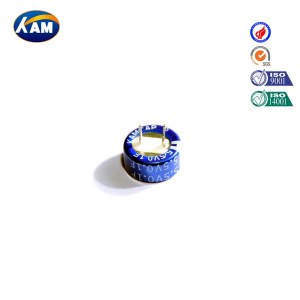 0.1F~1.5F 5.5V Coin Type Supercapacitor for Sale
