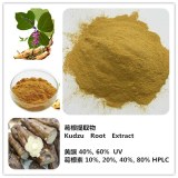 High quality Kudzu root extract 40% Puerarin by HPLC