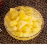 Canned pineapple Pieces