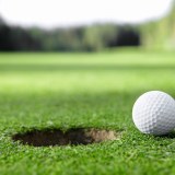 Sports Artificial Grass For Golf