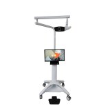 Standard Dental Model