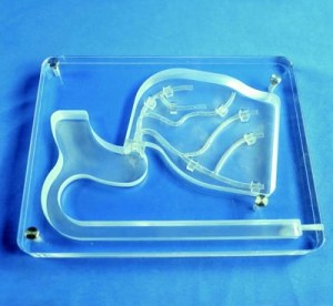 Planar Left Coronary Vessel Model (Radial Artery Approach)