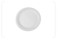 DISPOSABLE FOOD PLATE