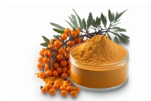 Organic Sea Buckthorn Juice Powder