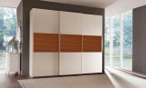 Modern Design Assembled Style Wardrobe Clothespress