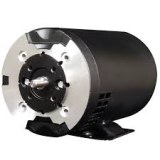 Marathon Motor 256TTFNA6596