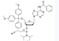 2'-dA(Bz) Phosphoramidite CAS NO. 98796-53-3 Wholesale
