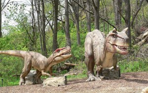 The Craftsmanship of Chinese Lantern Dragon