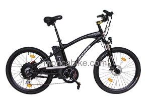 Fast Mountain Electric Bike with 48V battery 500W motor