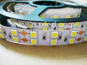 5050 bandes dirigées, 120LEDs, 5meter/reel, ligne double, multi-couleur RGB