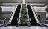 Indoor Escalator