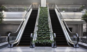 Indoor Escalator