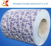 Prepainted galvanized steel coil/ Decorative steel coil with different patterns