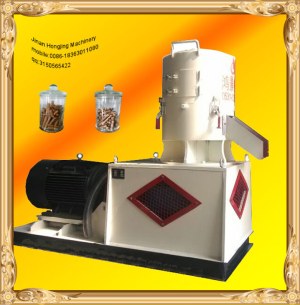 Biomass Wood Pellet Machine from China manufacturer DZLP460