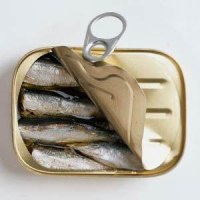 Recherche Partenaires Importateurs