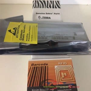 Brand New Zebra Printhead P1022237-001 For Printer TTP8200 203dpi