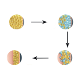 Cryolipolvsis+Cavitation+RF Machine