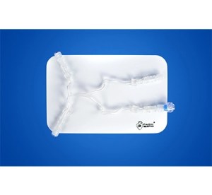 Posterior Cerebral Circulation Vessel Model